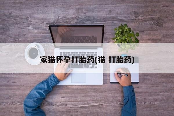 堕胎药购买微信家猫怀孕打胎药(猫 打胎药)